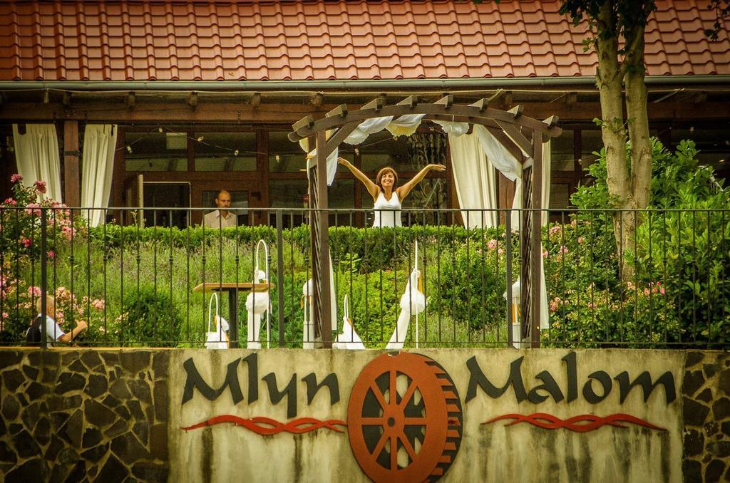 Mlyn Penzion & Wellness Radvan nad Dunajom Exterior photo